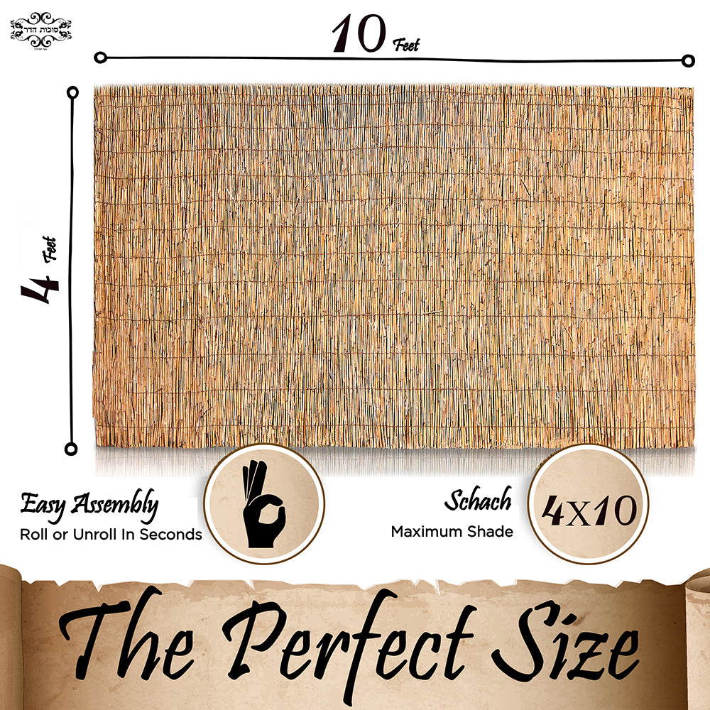 Sukkot Hadar- Kosher Reed, Schach Sukkah Mat, Peeled reed - (New Design 4X10)